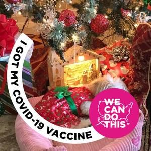 Meet your Posher, Irma